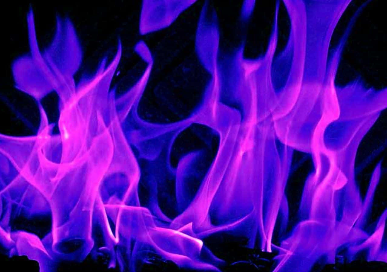 Opplyst i Praktfulle Rosa Flammer Bakgrunner