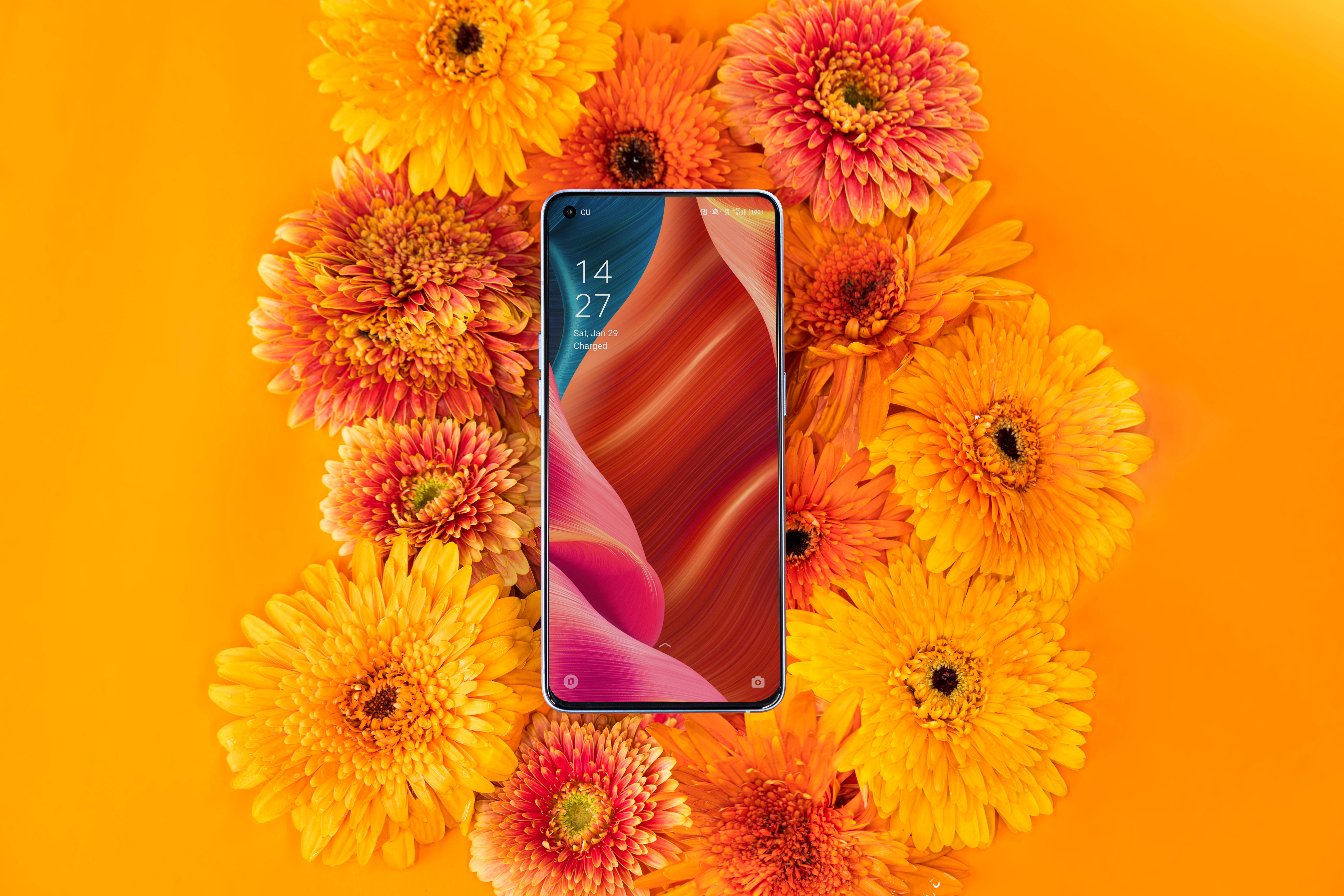 Oppo Smarttelefon og Blomstrende Flora Bakgrunner