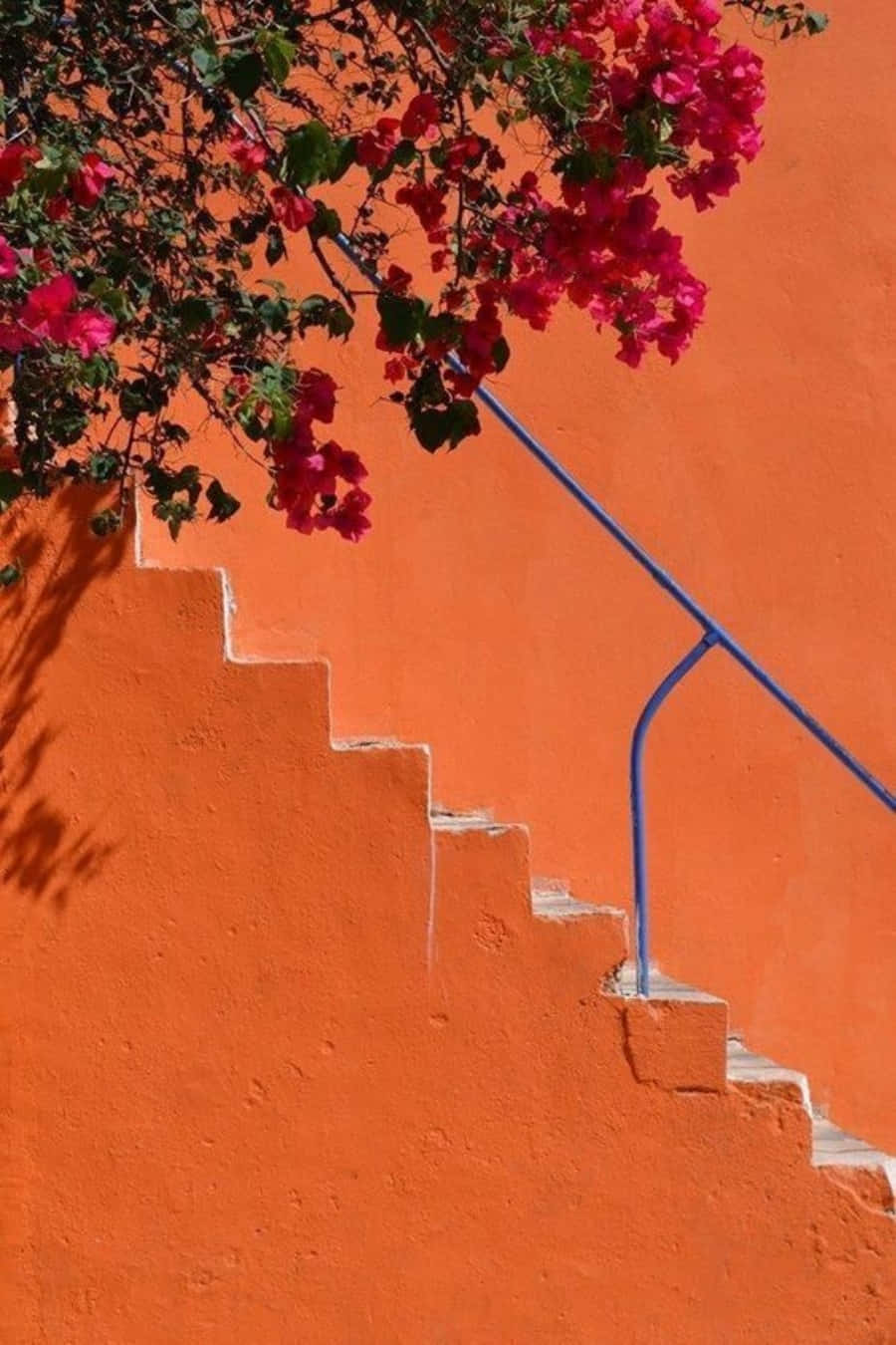 Oransje estetikk - en fargerik verden Bakgrunner