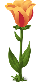 Oransje gul tulipan vektorillustrasjon Bakgrunner