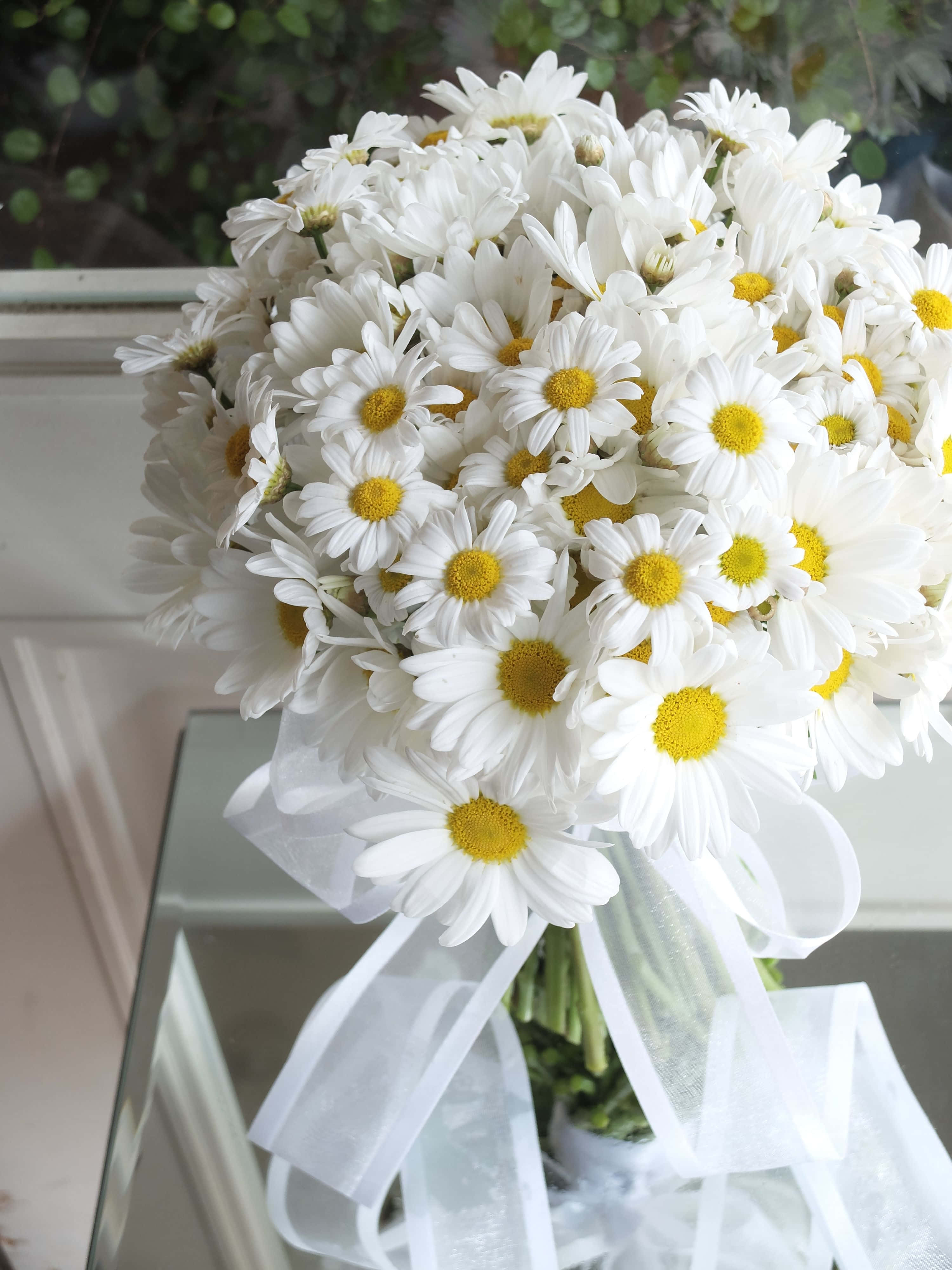 Ornamental bukettbilde Bakgrunner