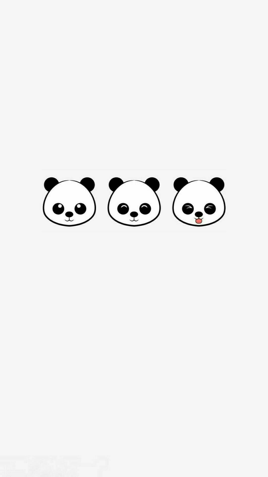 Panda Hoder Søt iPhone Bakgrunner
