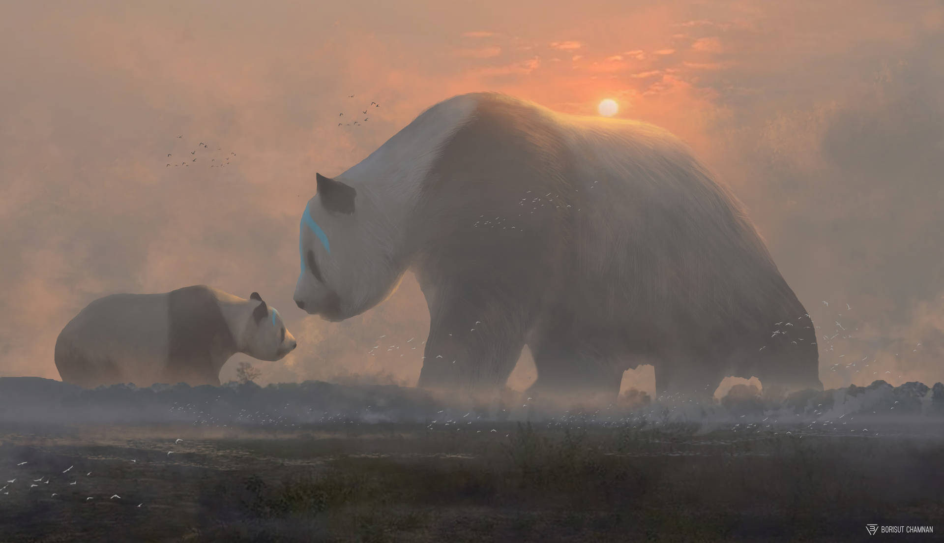 Panda og unge skyete solnedgang skrivebordsbakgrunn.