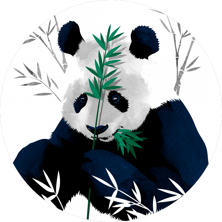 Panda som spiser bambus – vektorillustrasjon Bakgrunner