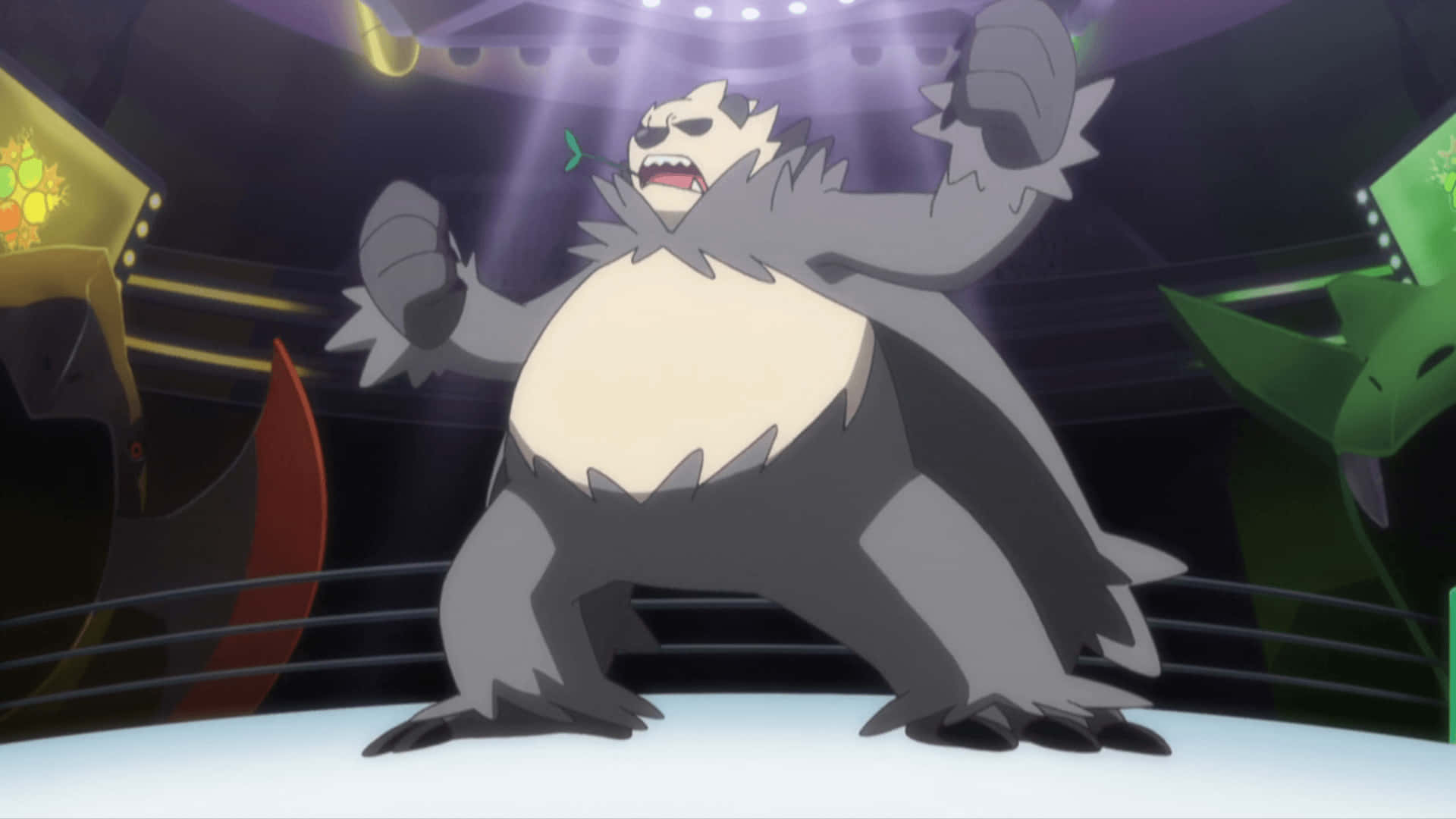 Pangoro på en kamparena Bakgrunner