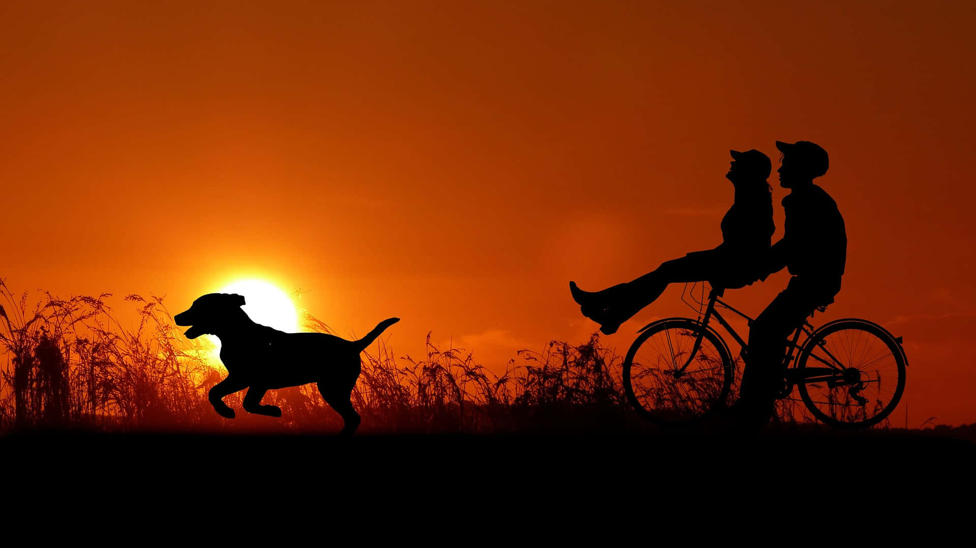 Par som sykler med hund forholdsbilde Bakgrunner