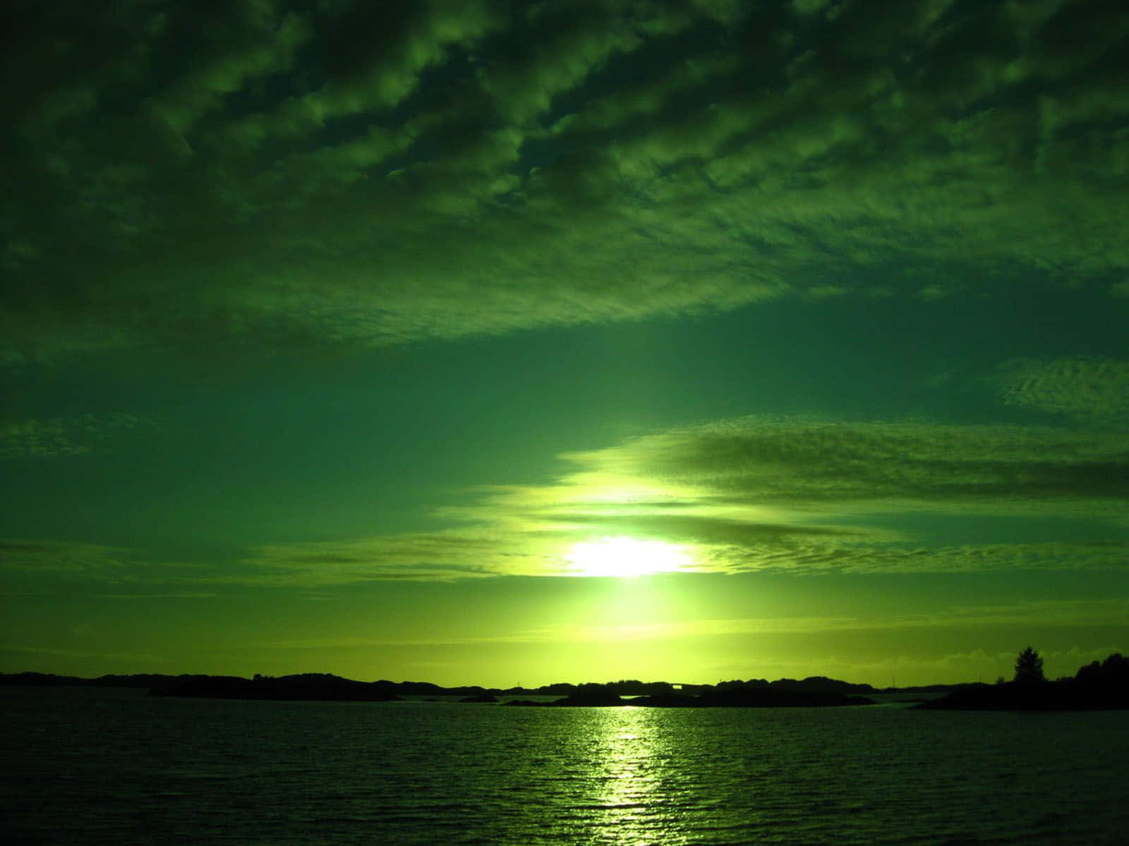 Paradiset funnet. Bakgrunner