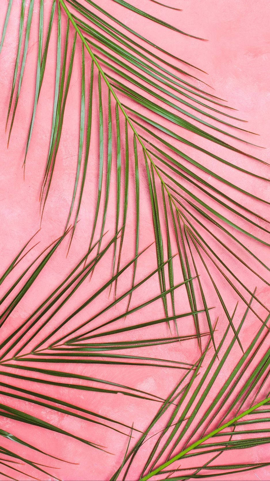 Pastell iPhone rosa grønne blader Bakgrunner