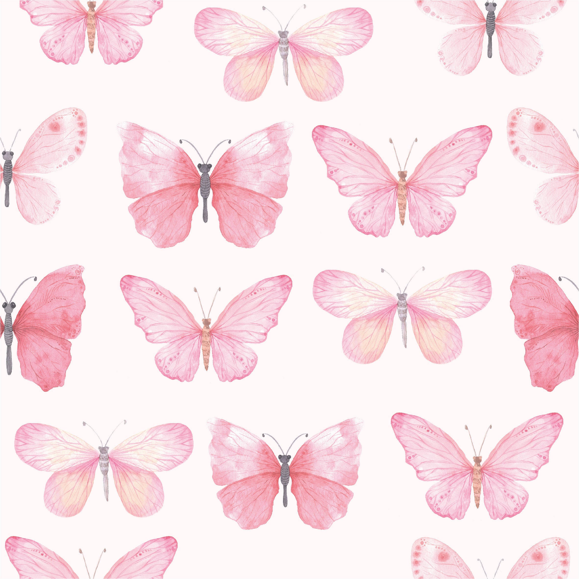 Pastellfargerike sommerfugler i rosa nyanser Bakgrunner