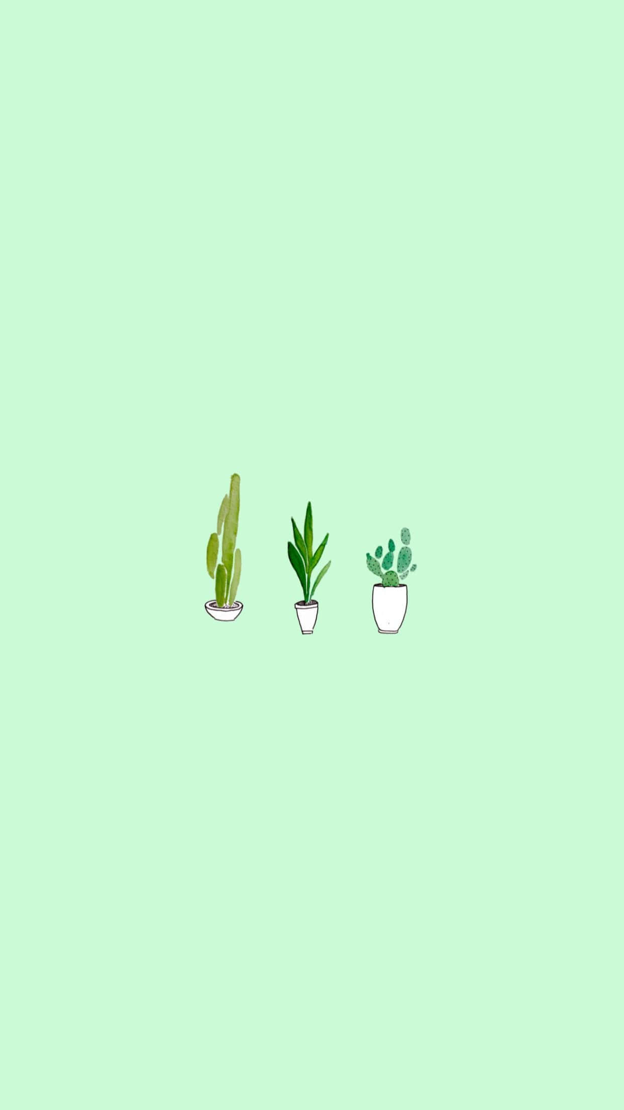 Pastellgrønn bakgrunn minimalistiske planter Bakgrunner