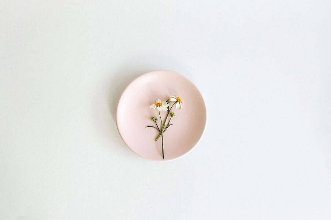 Pastellrosa estetisk blomsterdesign Bakgrunner