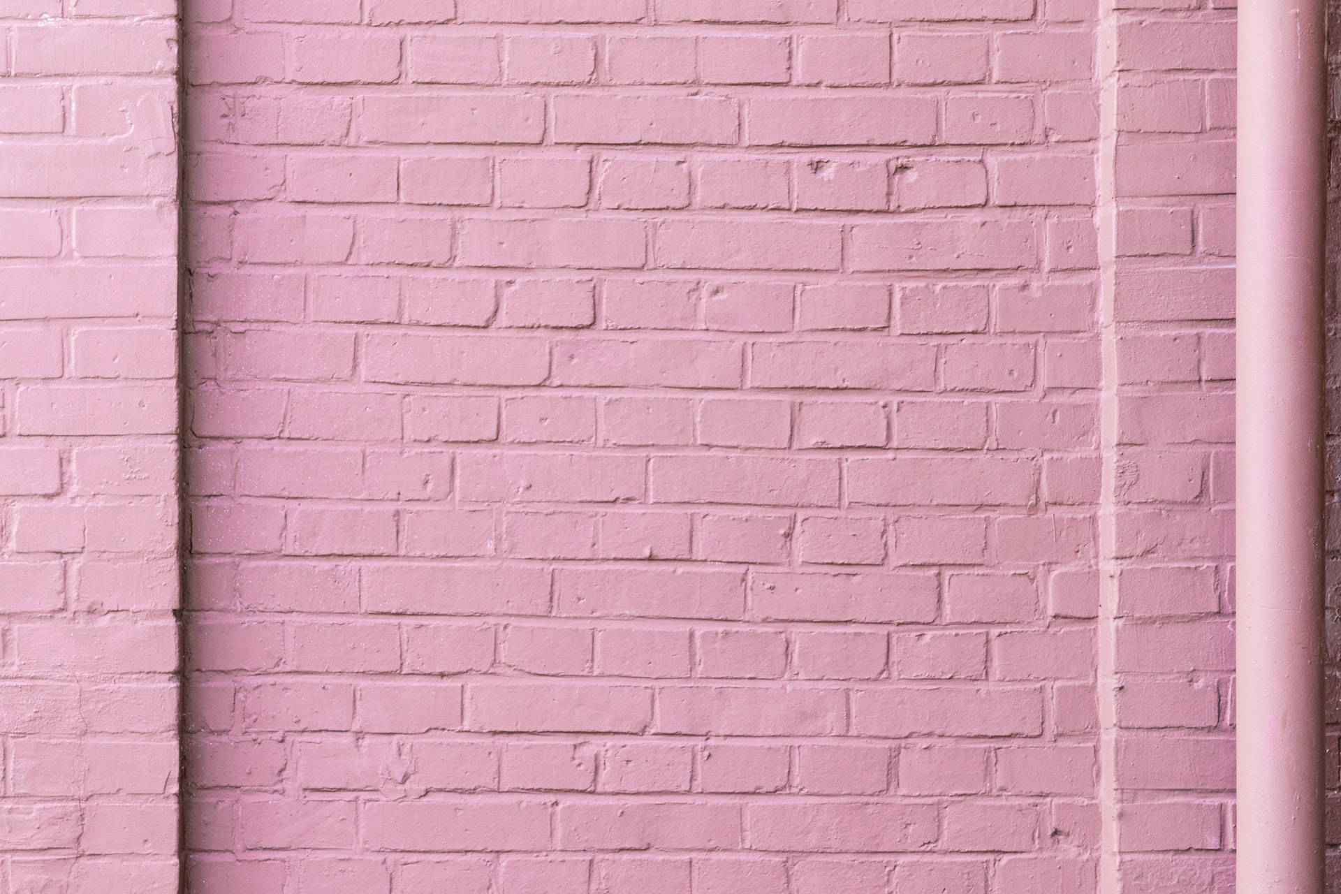 Pastellrosa murvegg Bakgrunner