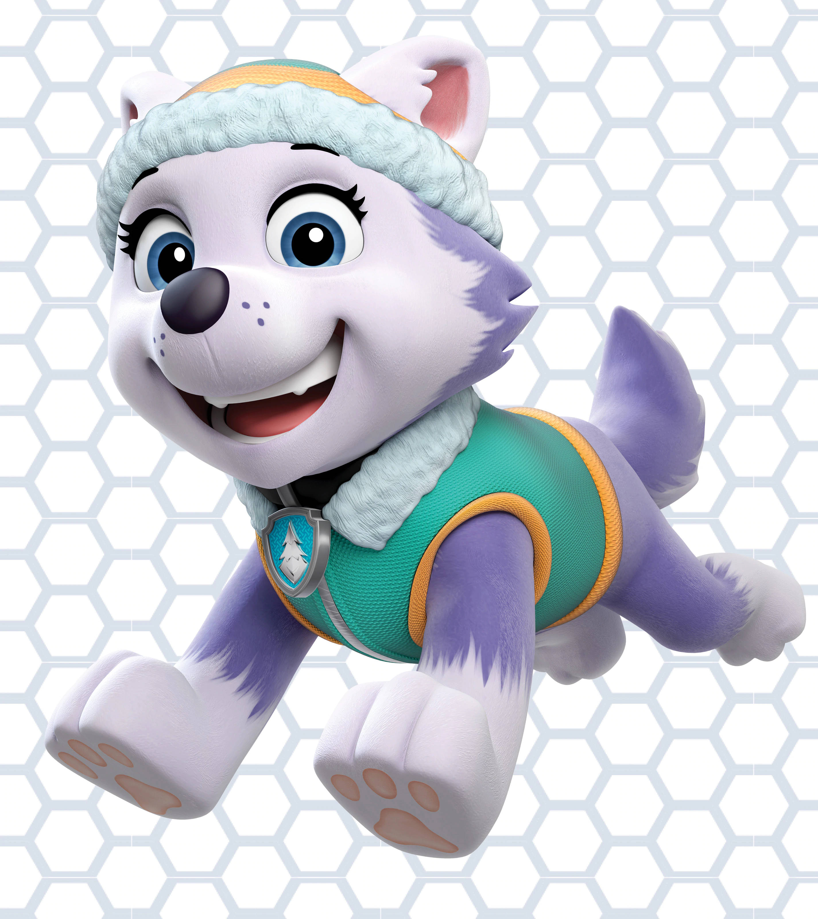 Paw Patrol Everest Bakgrunner