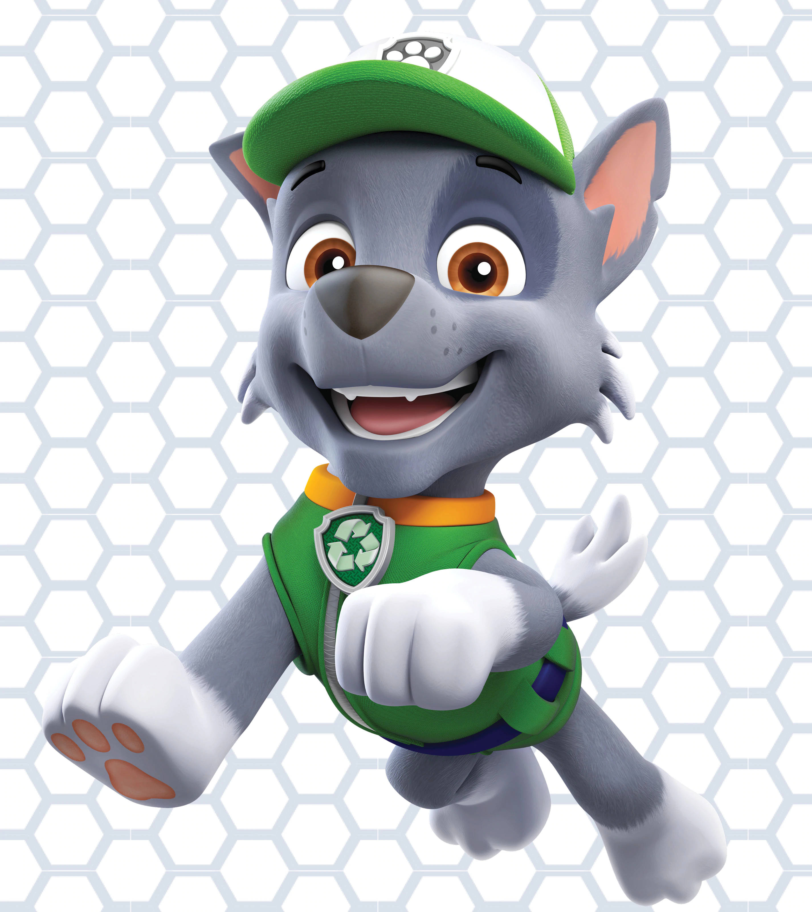 Paw Patrol Rocky Bakgrunner