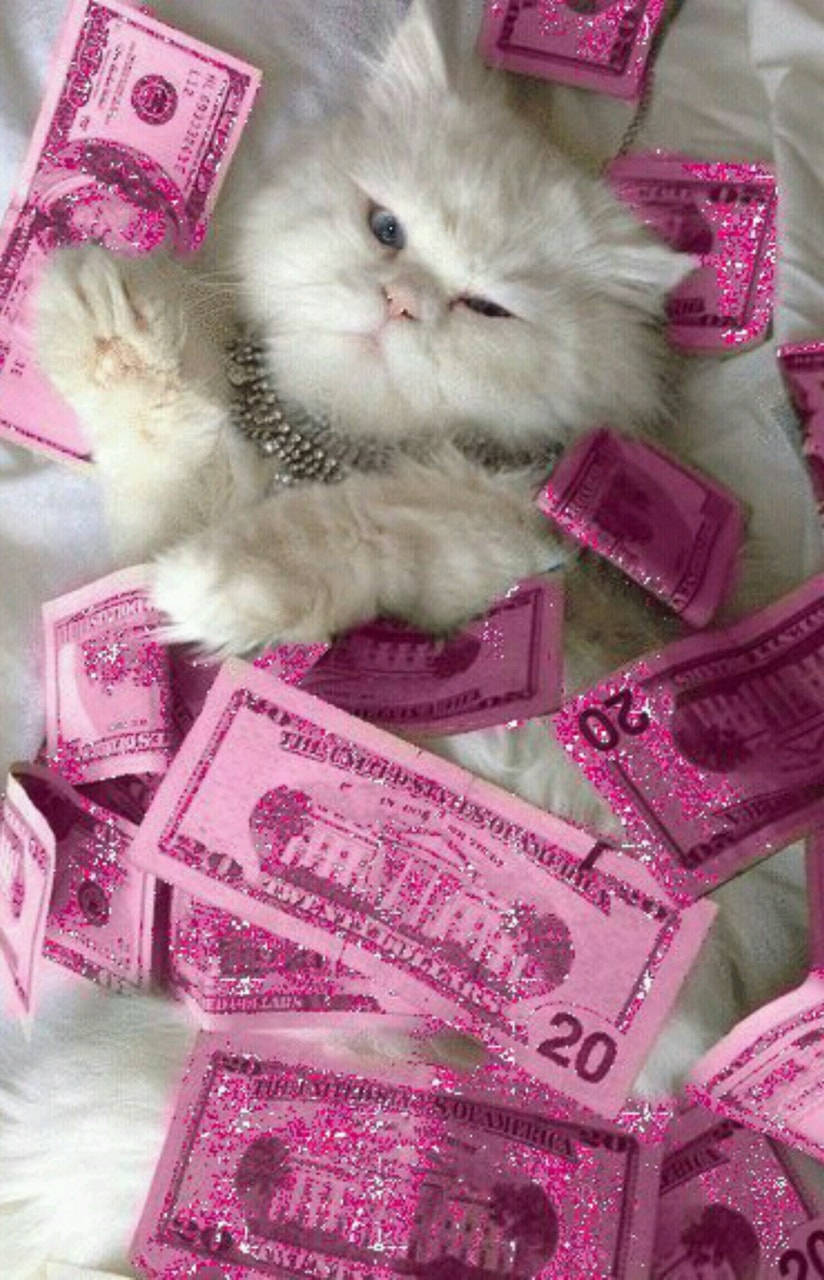 Penger Bakgrunn Katt Rosa Estetisk Sedler Bakgrunner