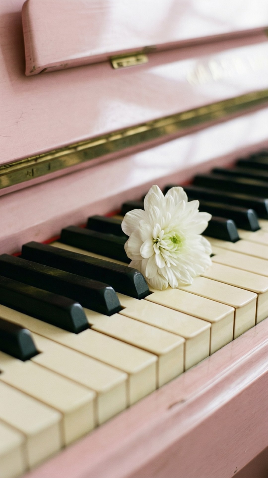 Piano og blomsterblader Bakgrunner