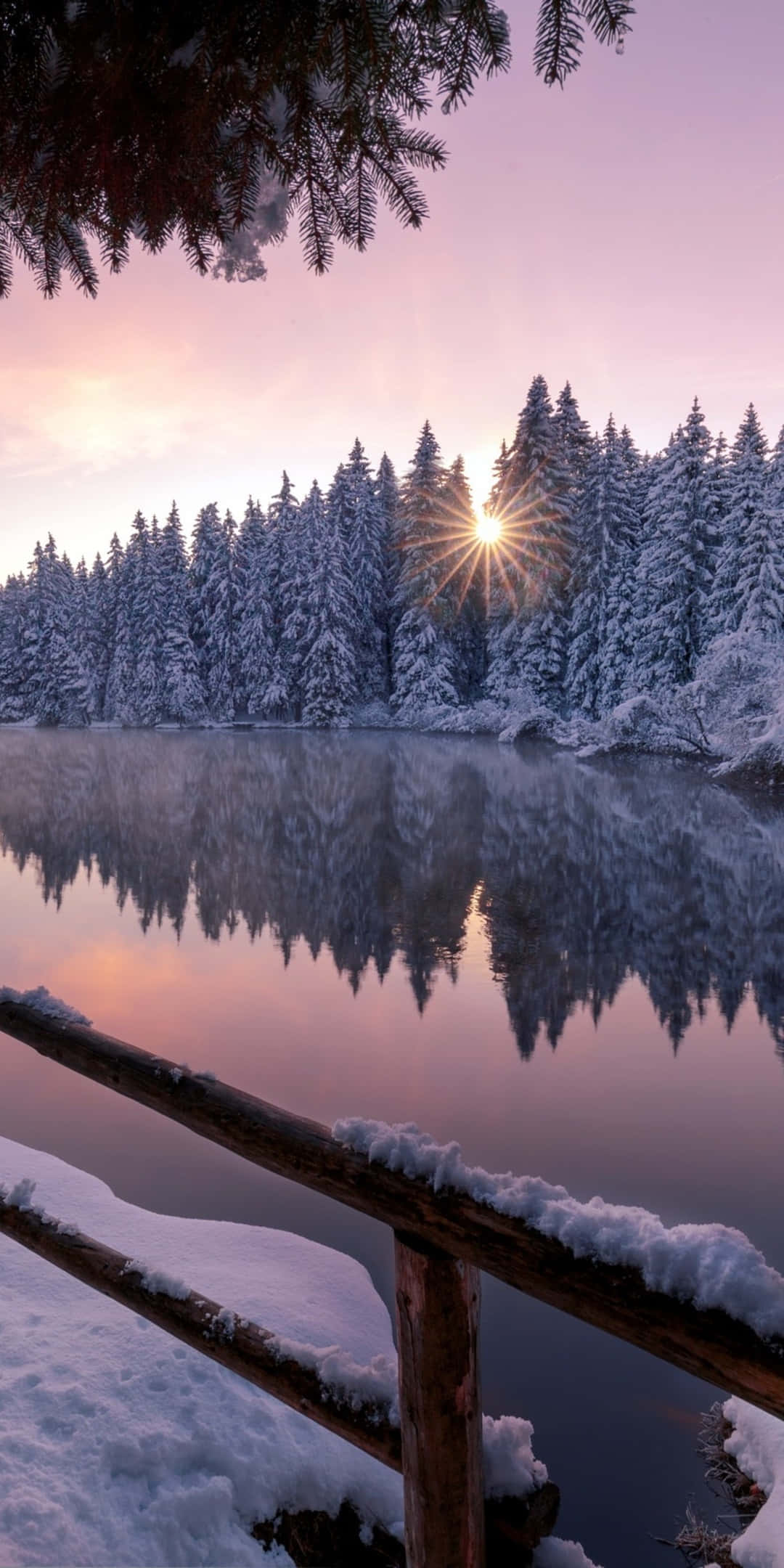 Pixel 3 vinterbakgrunn isete elv ved skogen Bakgrunner