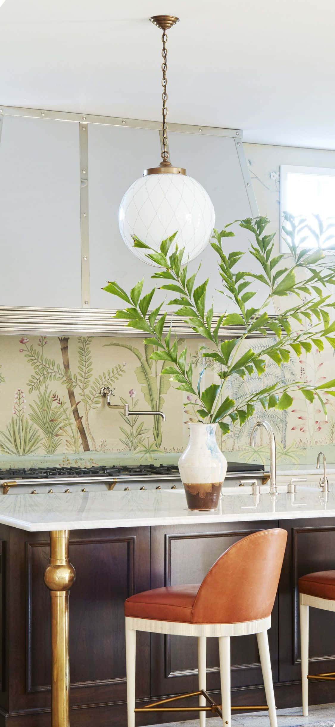 Plante i Vase iPhone X Kjøkkenbakgrunn Bakgrunner