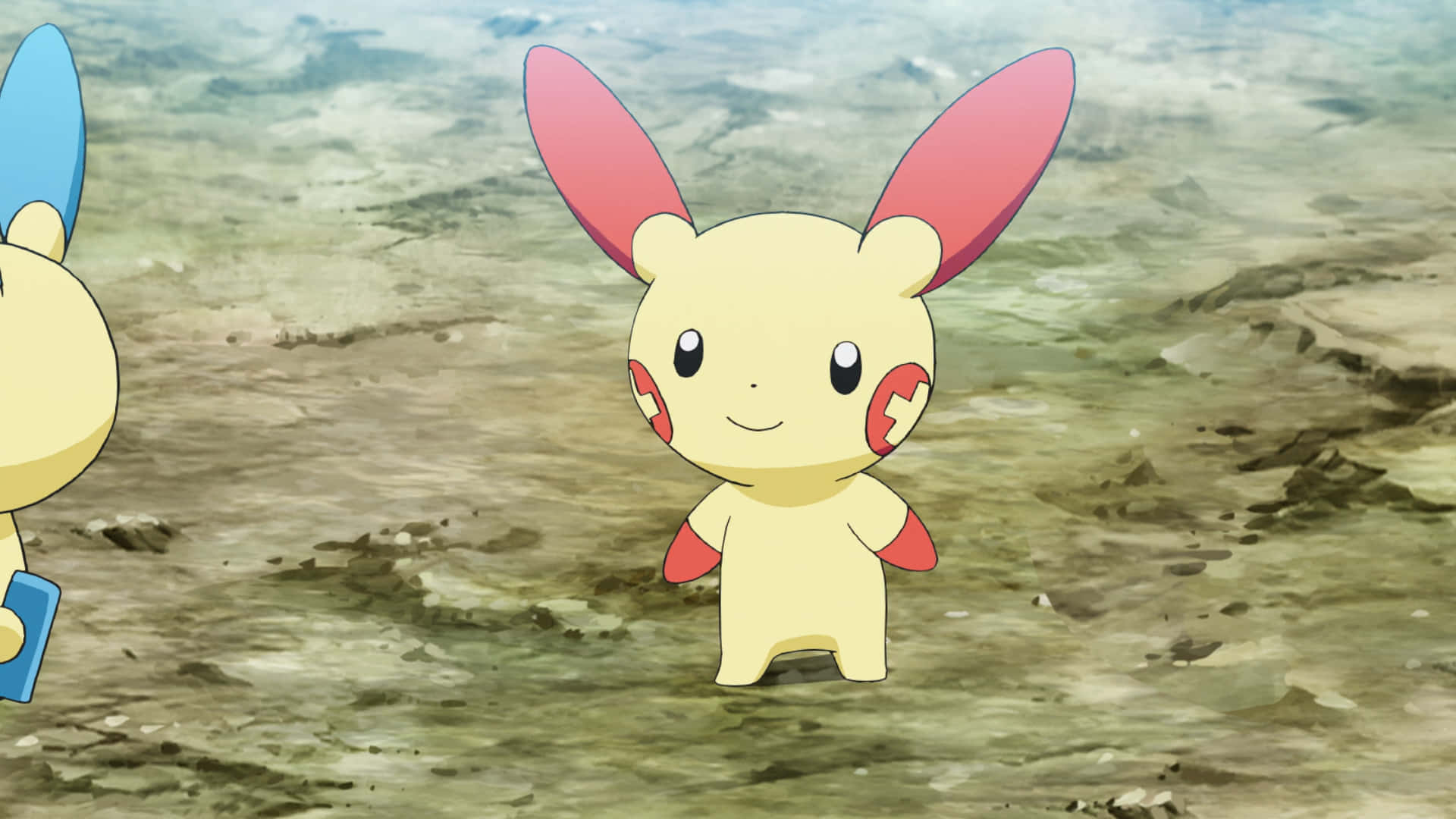 Plusle på land Bakgrunner