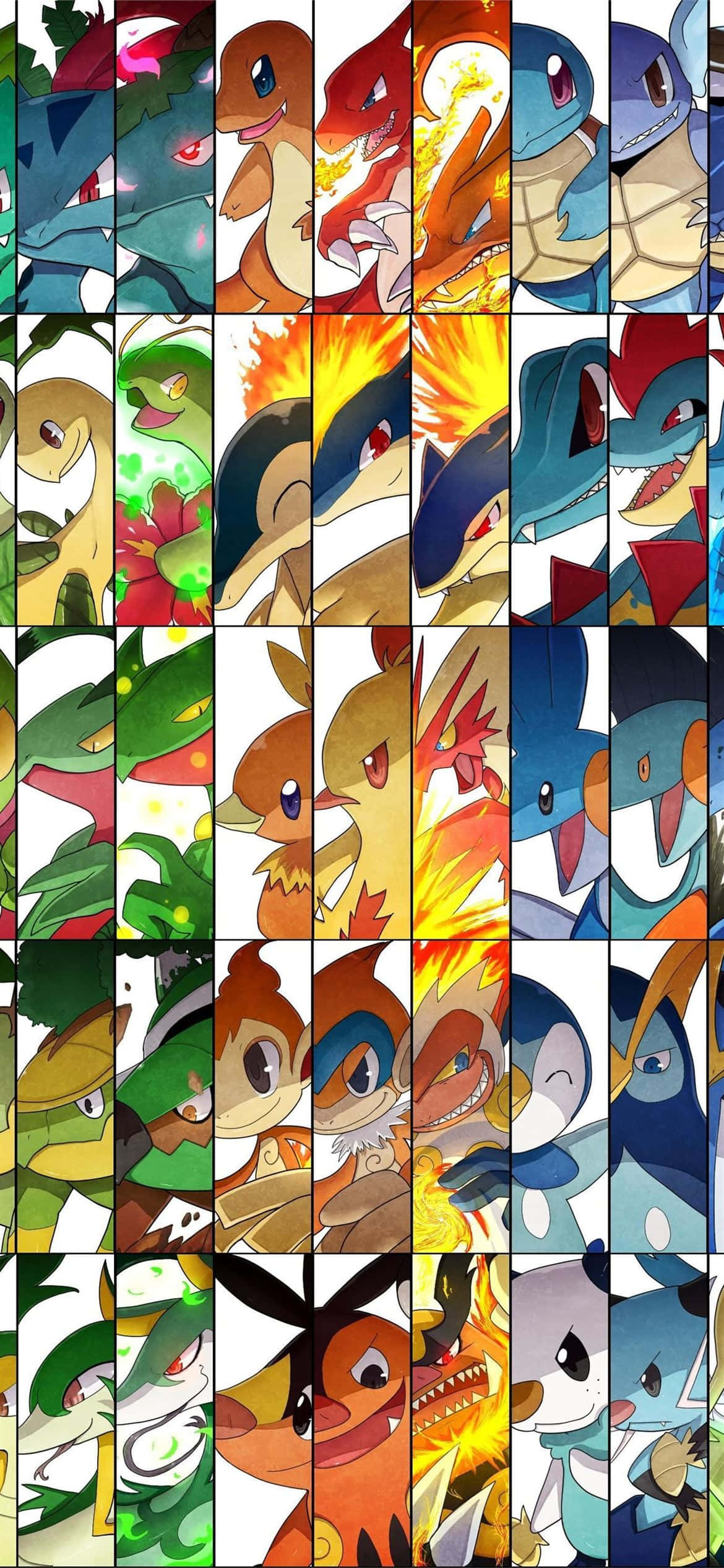 Pokémon Evolusjonskollasj med Meganium Bakgrunner