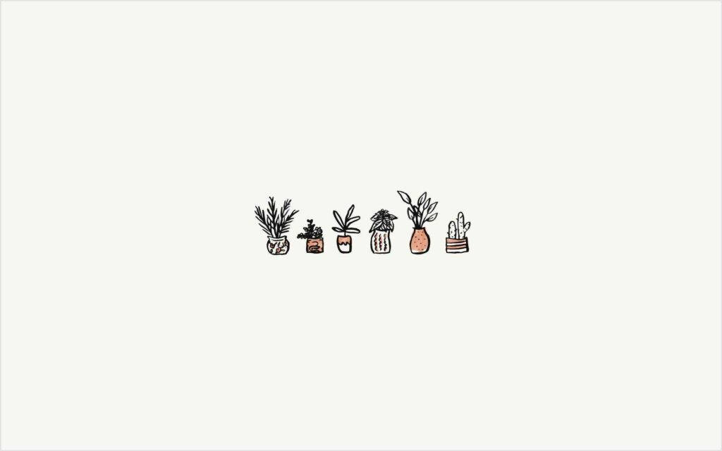 Potteplanter grafisk fra Pinterest laptop Bakgrunner