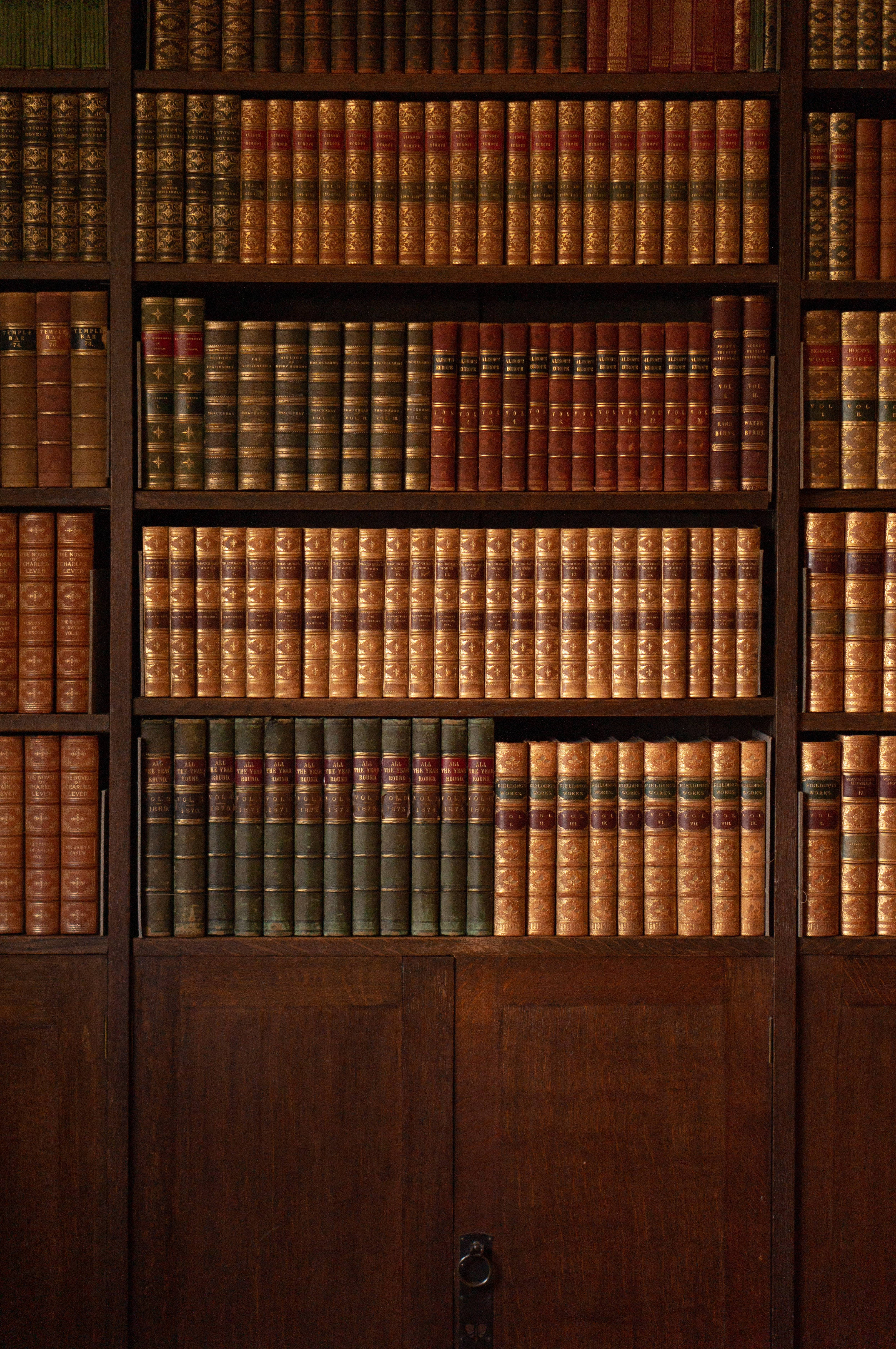 Praktfullt estetisk vintagebibliotek Bakgrunner