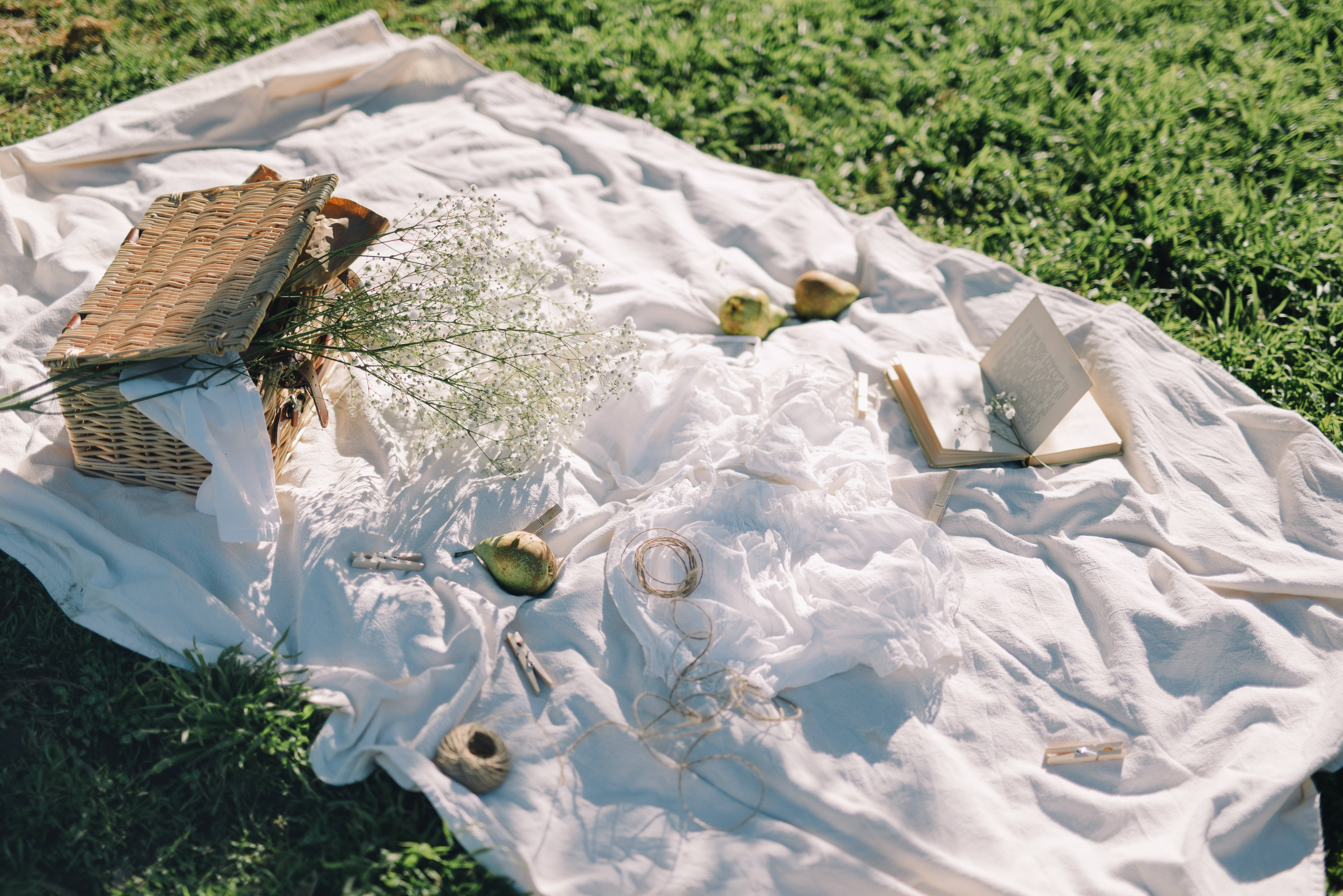 Preppy Aesthetic Picnic Hvit Bakgrunner