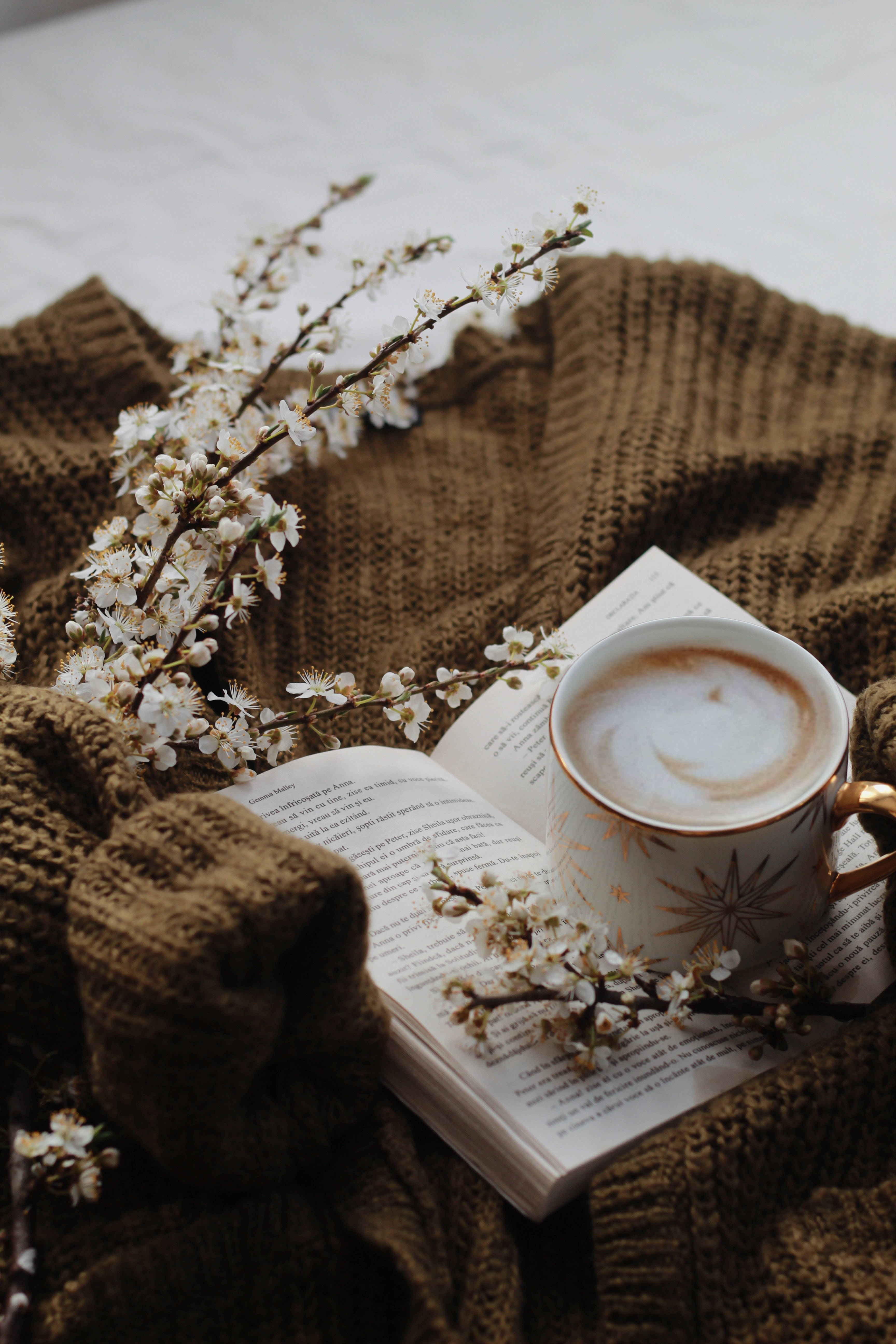 Preppy kaffegenser Bakgrunner