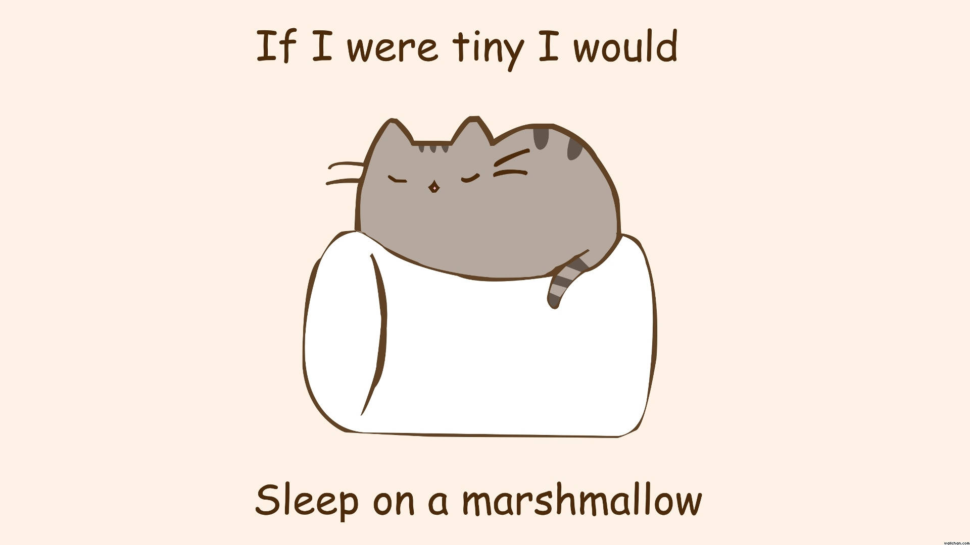Pusheen sover på marshmallow Bakgrunner
