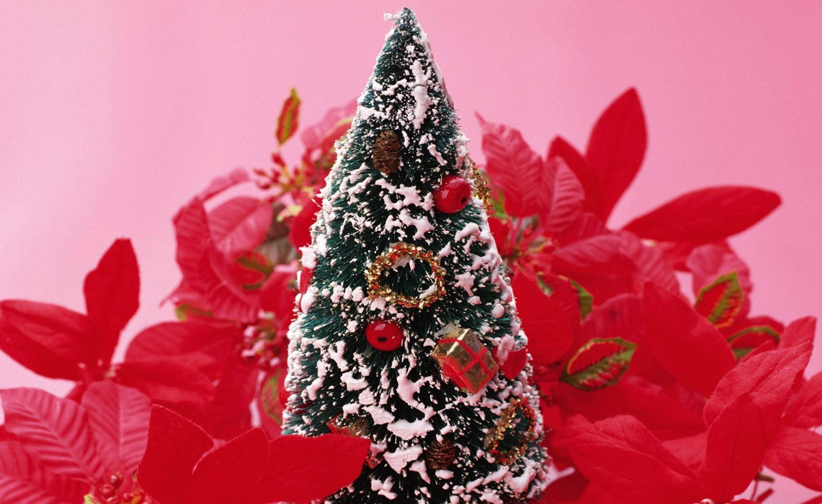 Pynte juletreet! Bakgrunner