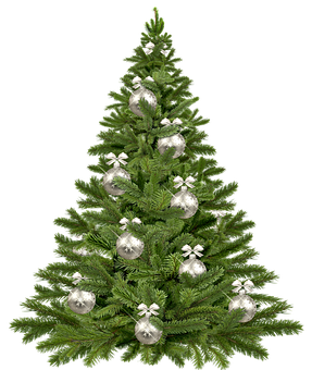 Pyntet juletre med svart bakgrunn Bakgrunner