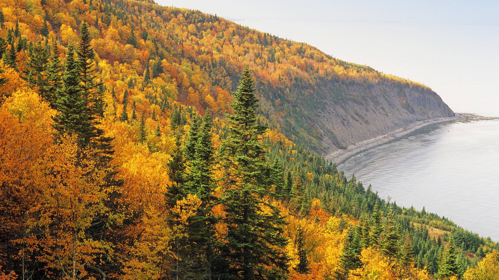 Quebec City-fjell Bakgrunner