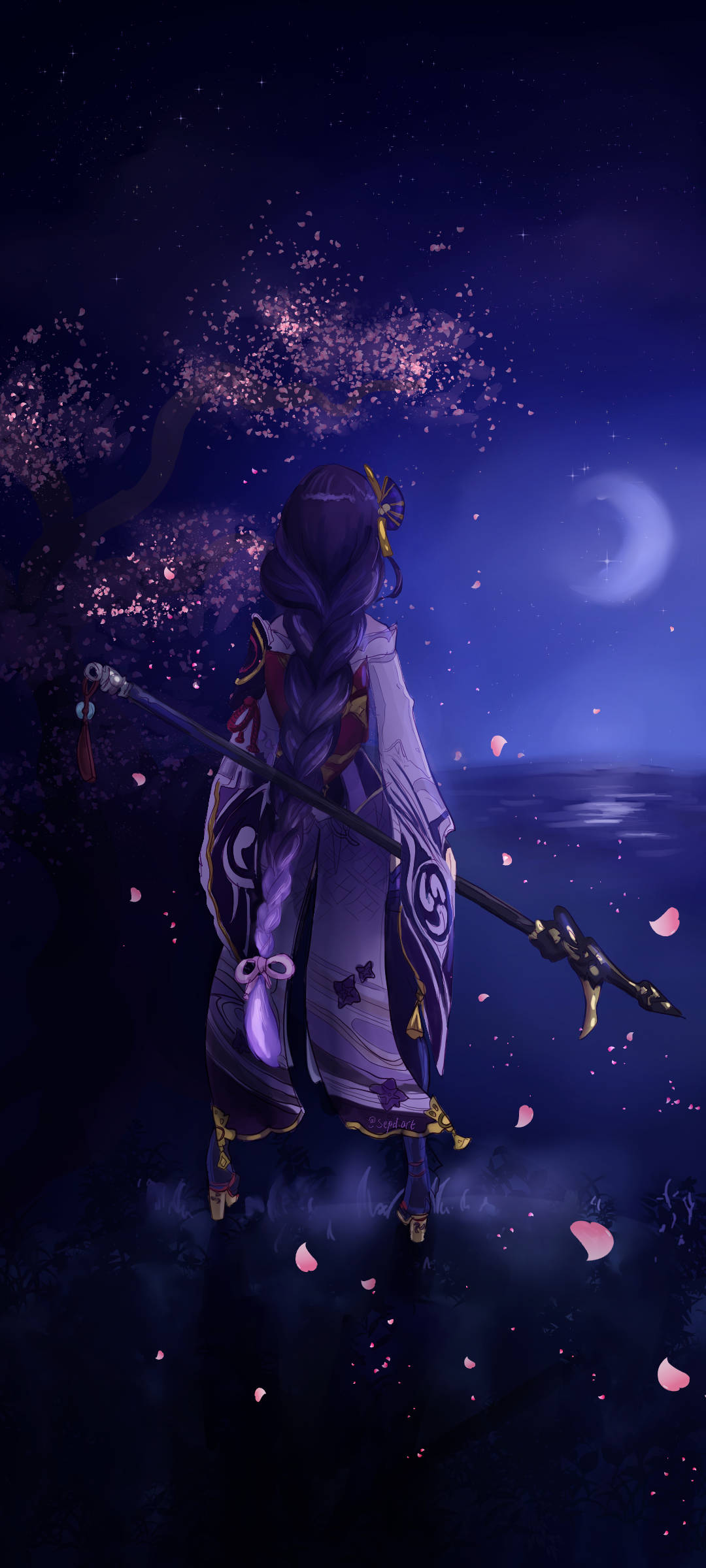 Raiden Shogun Stjerneklar Natt Bakgrunner