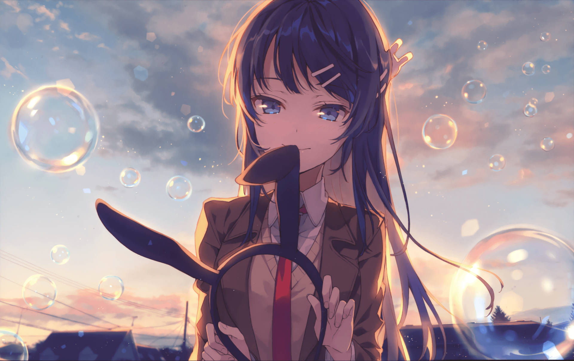 Rascal Does Not Dream Of Bunny Girl Senpai Bobler Bakgrunner