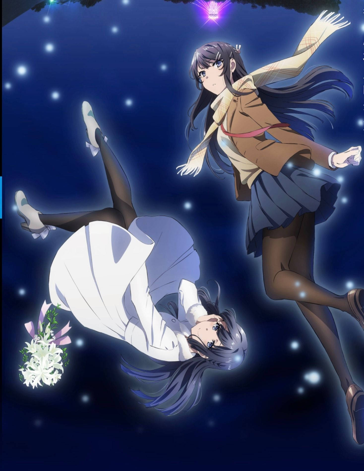 Rascal Does Not Dream Of Bunny Girl Senpai Shoko Og Mai Bakgrunner