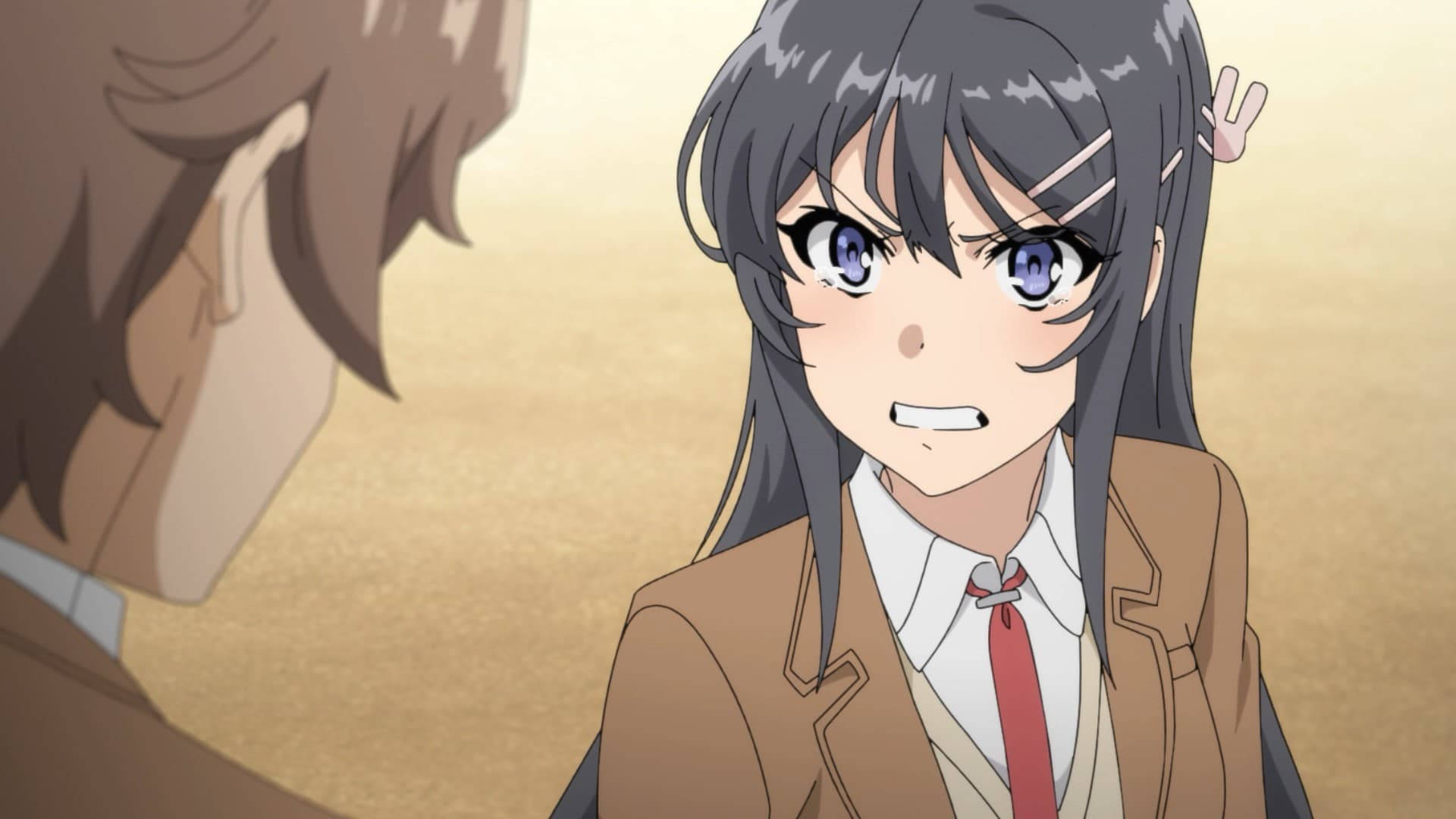 Rascal Does Not Dream Of Bunny Girl Senpai Sint Mai Bakgrunner