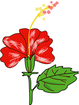 Rød hibiskus vektorillustrasjon Bakgrunner