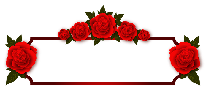 Rød rose bannerdesign Bakgrunner