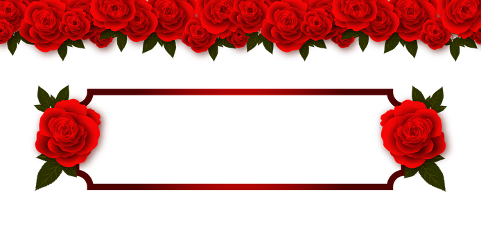 Rød rose bannerdesign Bakgrunner