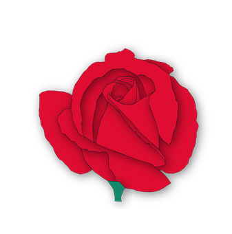 Rød rose svart bakgrunn Bakgrunner