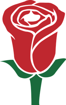 Rød rose vektorkunst Bakgrunner