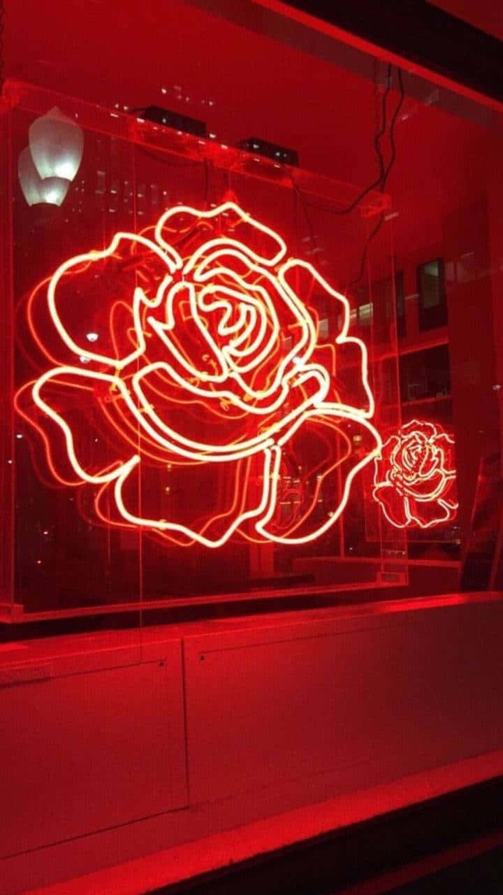 Rødt neonblomsterskilt mørkerød estetikk Bakgrunner