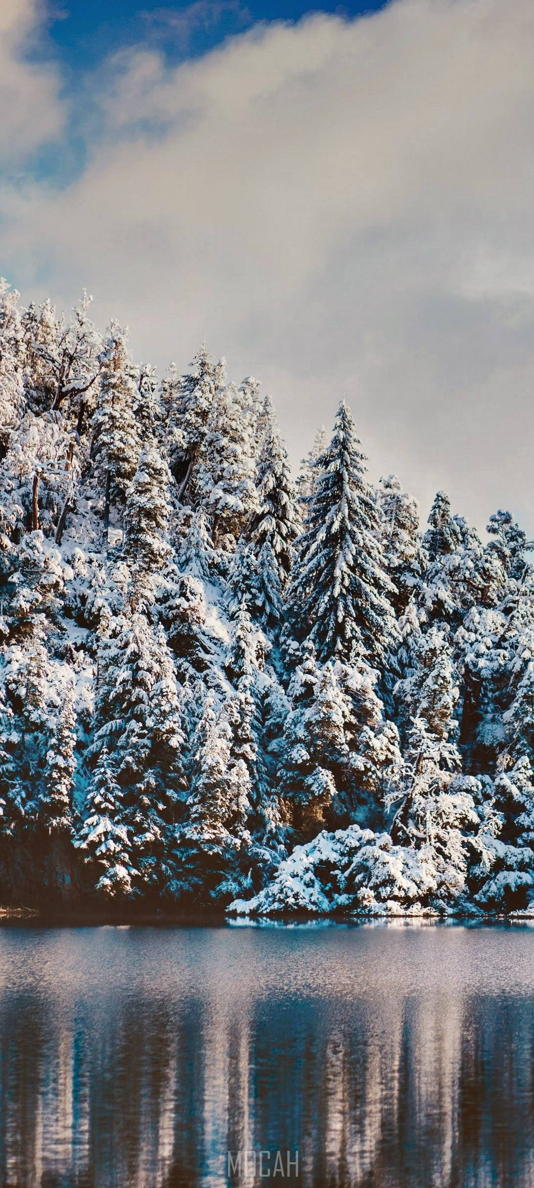 Realme 7 Pro snødekt skog Bakgrunner