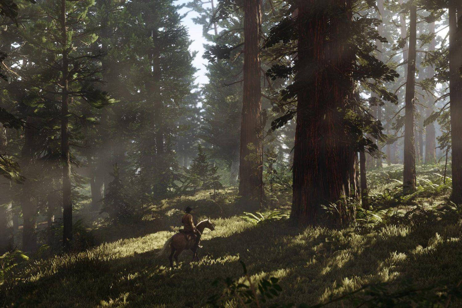 Red Dead Redemption 2 4K Skog Bakgrunner