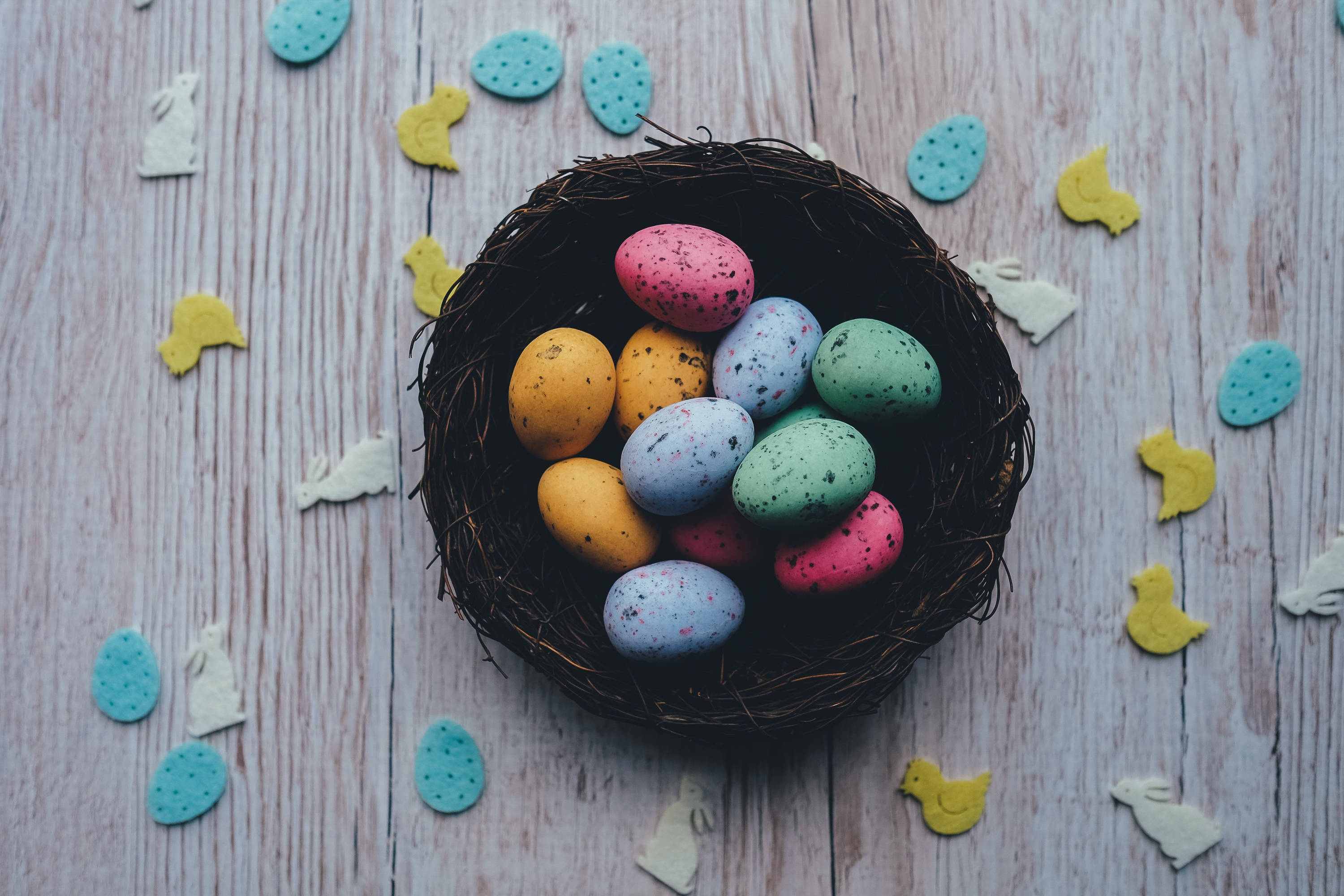 Rede med fargerike påskevaktel-egg Bakgrunner