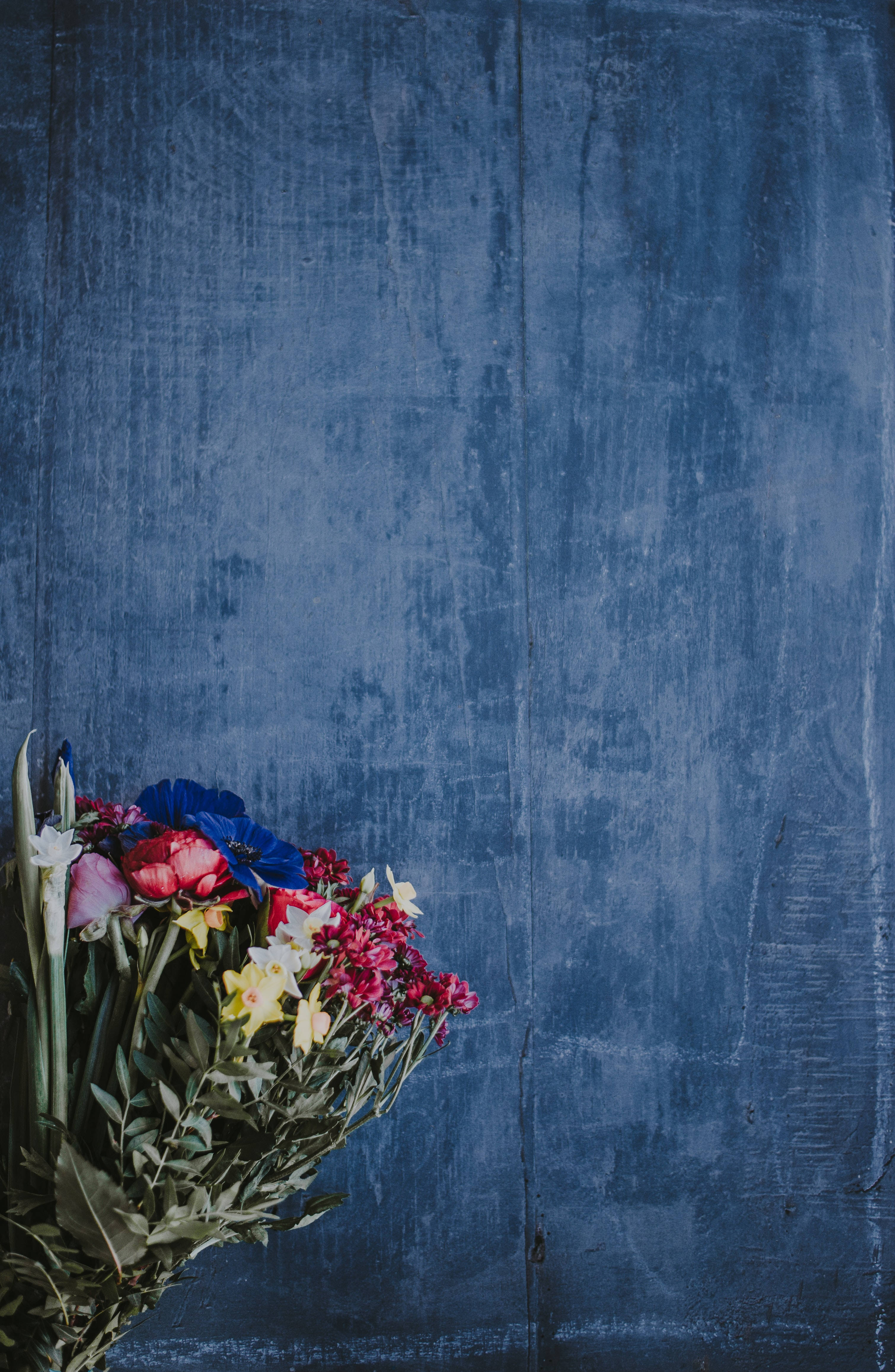 Redmi 4K Blomsterbakgrunn Bakgrunner