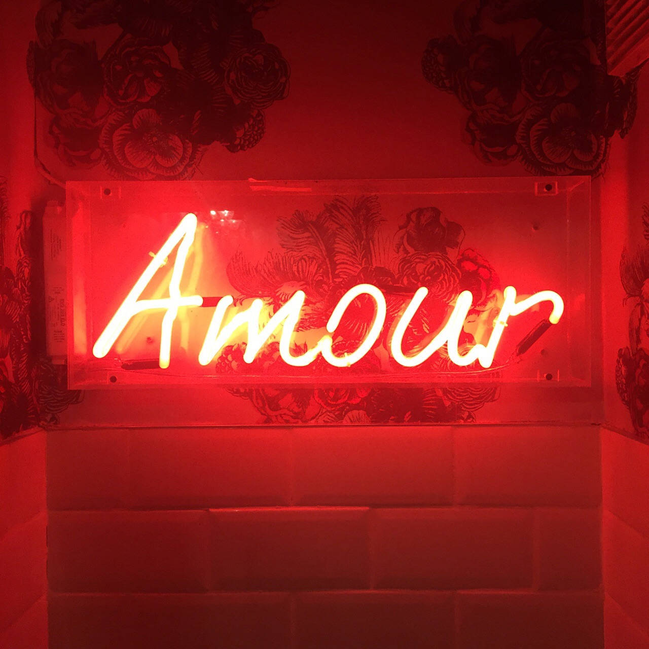 Rød estetisk neon Amour Bakgrunner