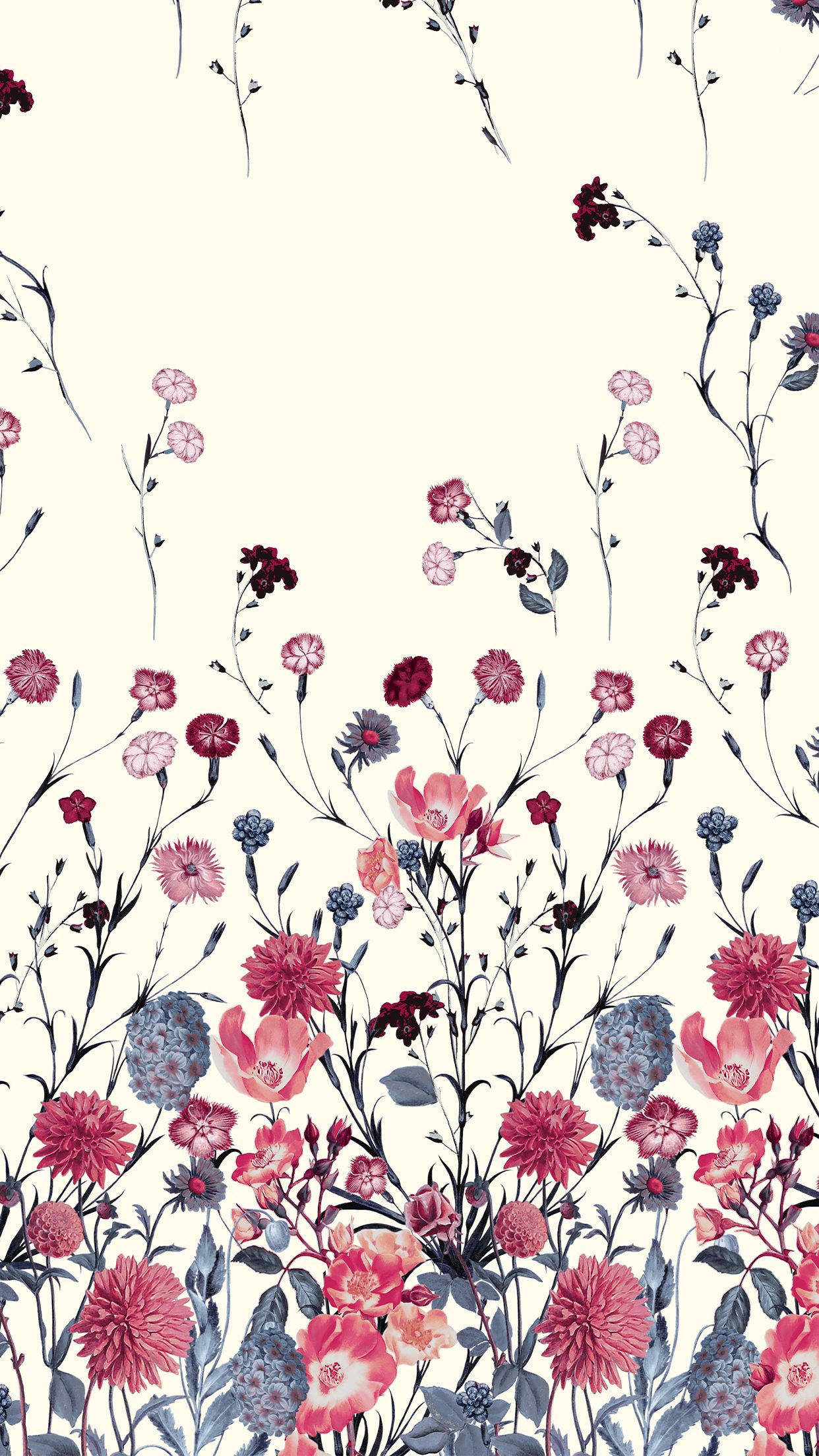 Rød og blå blomstret iPhone Bakgrunner