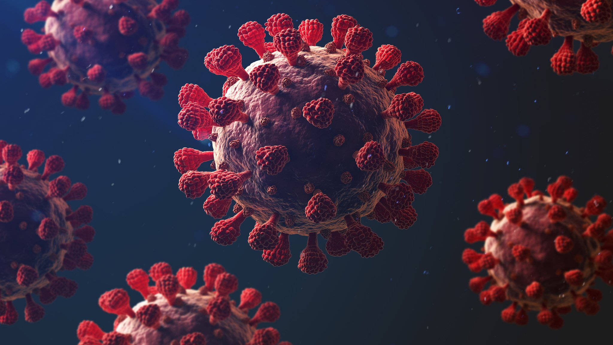 Rødspikket koronavirus Bakgrunner