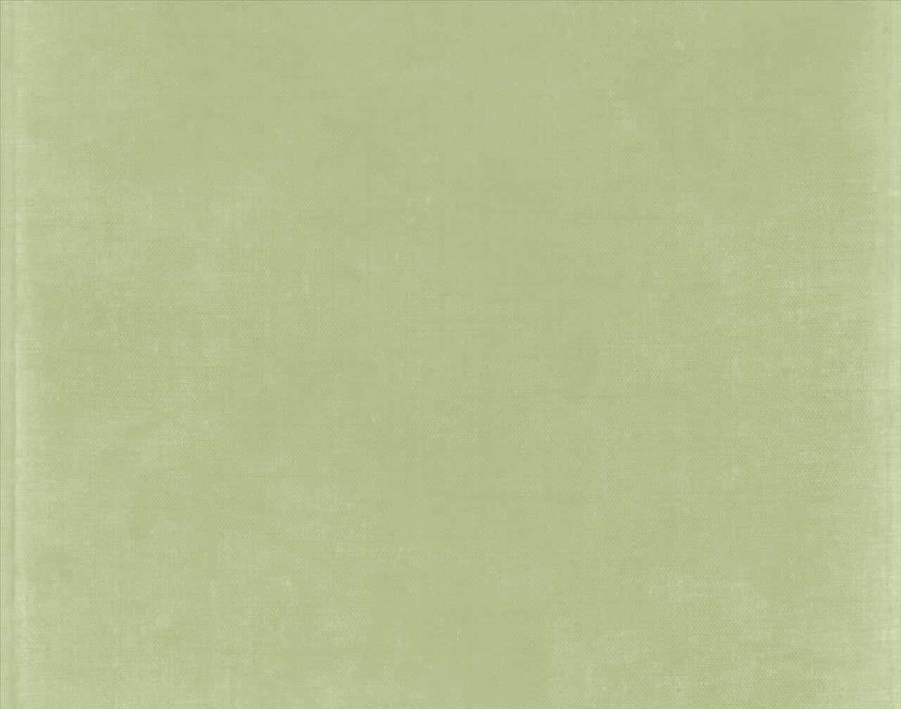 Rolig salviegrønn estetisk bakgrunn Bakgrunner